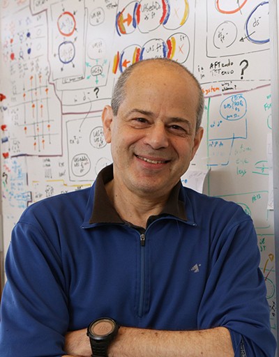 photo of Gary Struhl, PhD