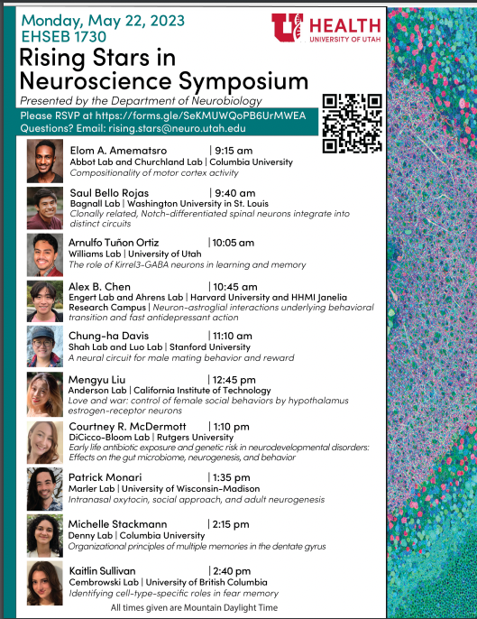 Rising Stars in Neuroscience Poster