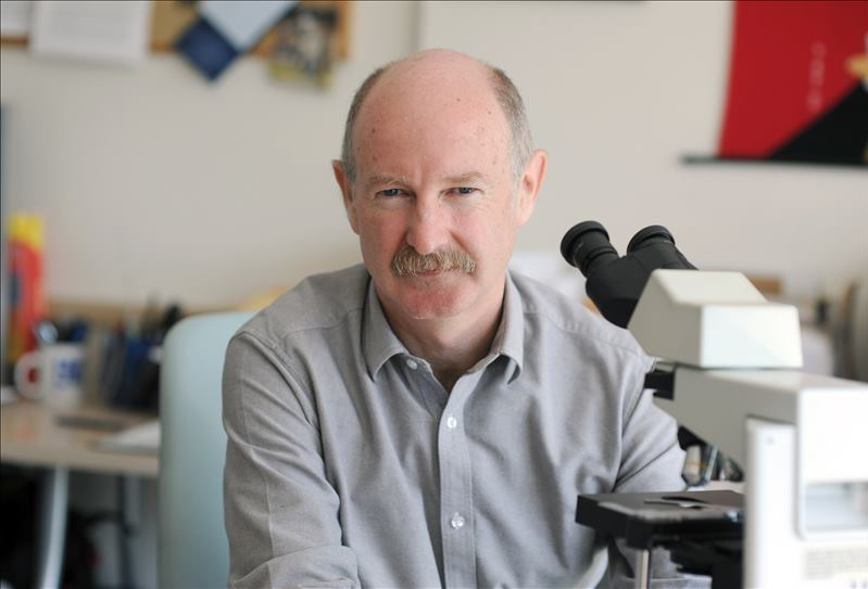 photo of Rafael Yuste, MD, PhD