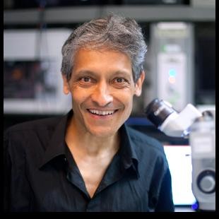 photo of Aniruddha Das, Ph.D.