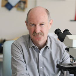 photo of Rafael Yuste, MD, PhD